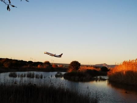 Avión sobrevolando el estanque de La Roberta.