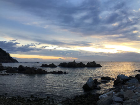 port marina palamós
