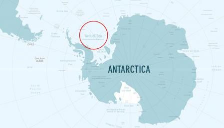 La gran zona de cría se encuentra en el mar de Weddell, en aguas cercanas a la Antártida  .