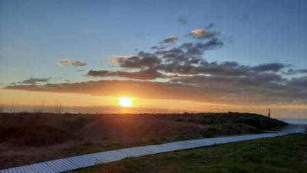 Helada en los campos de Gavà.