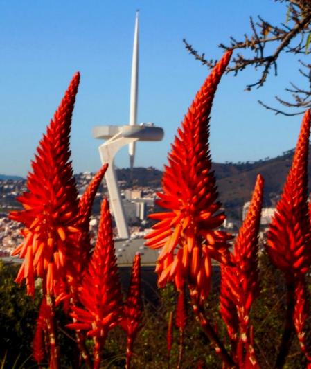 La Torre Calatrava vista desde el Jardín Botánico.