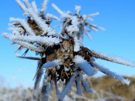 Salt del Gitano helado.
