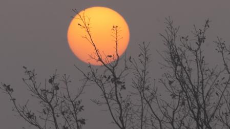 Invierno en Manlleu.