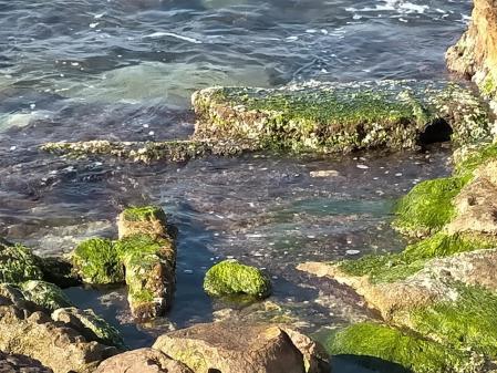 Las 'minves de gener' dejan al descubierto las rocas en L'Escala.