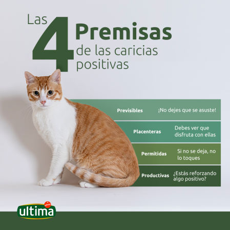 Las cuatro premisas de las caricias positivas