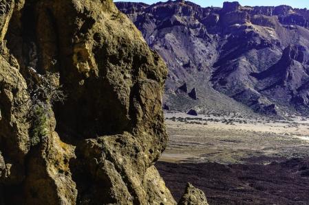Uno de los árboles estudiados, en un escarpado montañoso, a la izquierda de la imagen  .