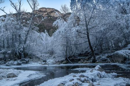 Paisaje invernal en Guardiola de Berguedà.