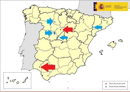 Localización de los focos conocidos entre diciembre de 2021 y febrero de 2022  .