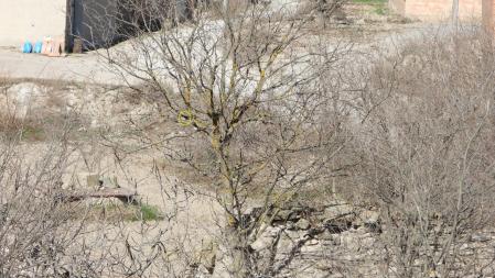 Solución al Reto visual del gorrión.