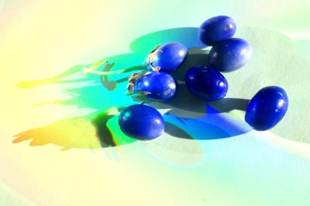 El lirio de los valles japonés.