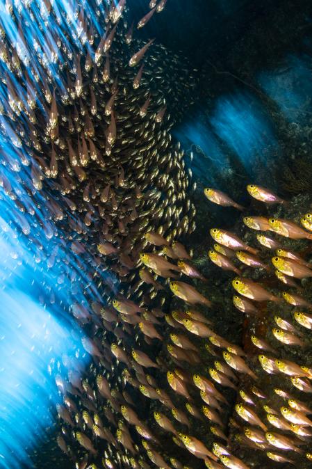 Imagen de la fotógrafa británica Catherine Holmes, de la categoría 'Wrecks'