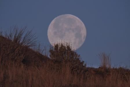 Luna llena de nieve sobre los campos secos en Mijas.