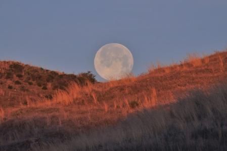 Luna llena de nieve sobre los campos secos en Mijas.