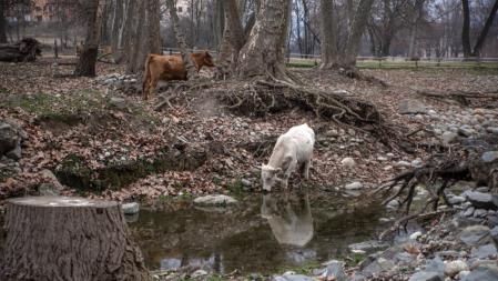 Río Ter en Manlleu.