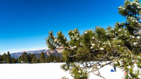 Día primaveral en Rasos de Peguera.