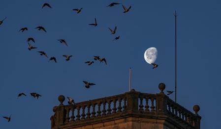 Sant Bartomeu del Grau.