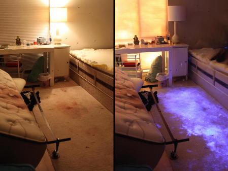 El dormitorio donde Blake Leibel mató a Iana Kasian: a la izquierda la escena 