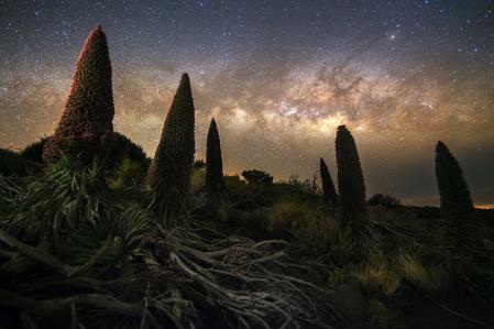 Las islas Canarias son un escenario privilegiado para la observación nocturna