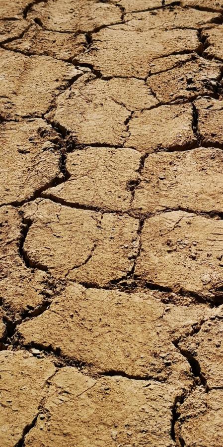 Sant Salvador de la Vedella.