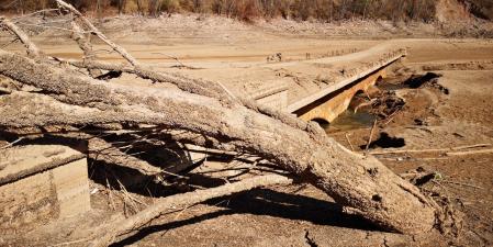 Sant Salvador de la Vedella.