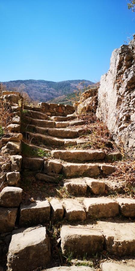 Sant Salvador de la Vedella.