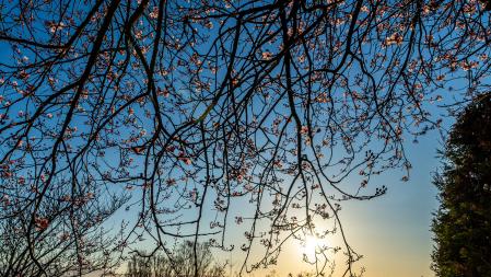 La naturaleza cercana al Morral.