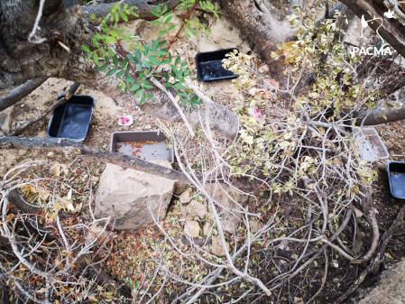 Restos de bolsas con veneno en la colonica felina