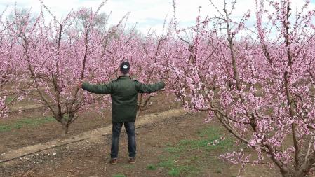 Sintiendo la magia de los árboles floridos.