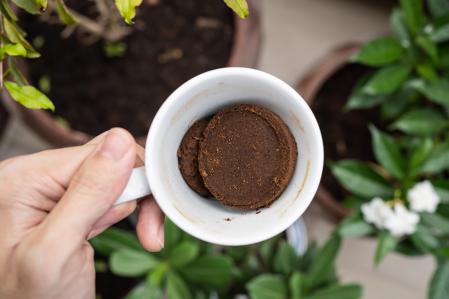 Posos de café utilizados como fertilizante