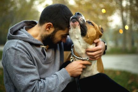 Tiene una personalidad amistosa