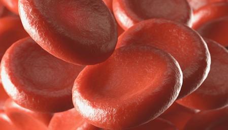 Recreación de glóbulos rojos moviéndose en los vasos sanguíneos