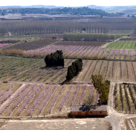 Sant Joan de Carratalà