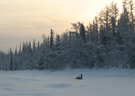En Siberia pueden alcanzar los 60º bajo cero en invierno&nbsp;