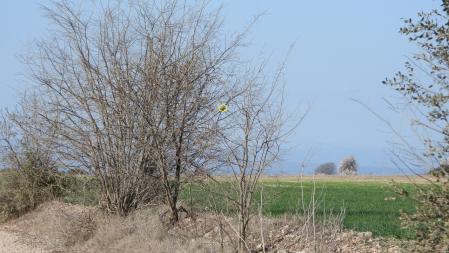 Esta es la solución al Reto visual.