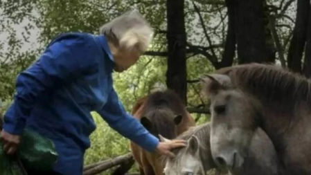 A día de hoy, el zoo apenas recibe visitas
