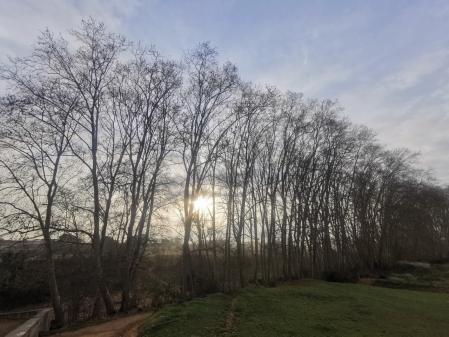 Arboleda en Gallecs.