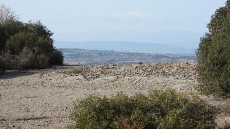 Reto visual: ¿Ves al conejo?