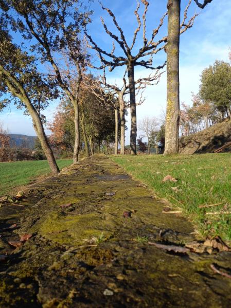 Paisaje casi primaveral del Berguedà.