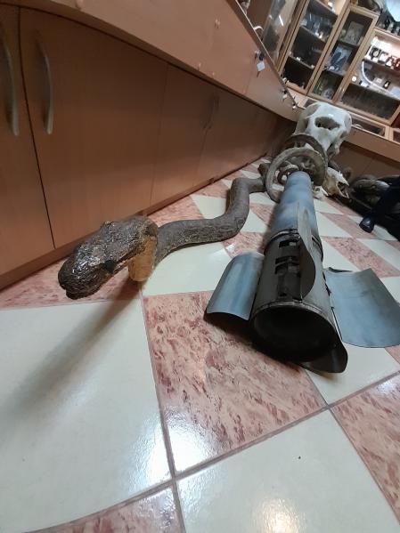 Reptiles. La carcasa de uno de los proyectiles junto a una serpiente disecada
