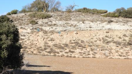 Solución al Reto visual de los dos conejos.