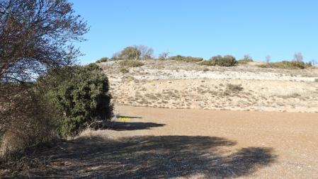 Solución al Reto visual de los dos conejos, donde también aparece señalizada la posición de la Petita.
