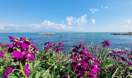 La roca del Cargol, con las flores de primavera en primer plano.
