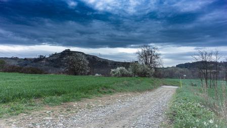 Meandre del Despujol.