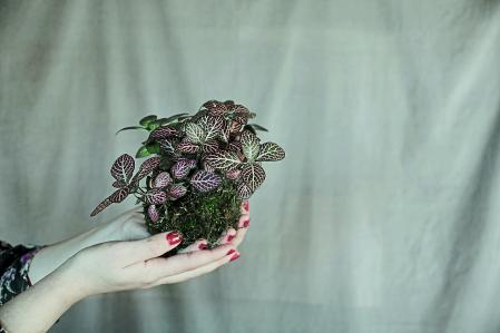 Plantas para ser feliz de Eva Duran