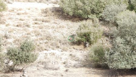 Solución al Reto visual con la posición del conejo señalizada.