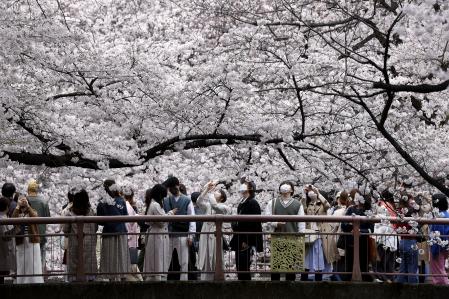 Personas tomando fotografías de cerezos en flor a lo largo del río Meguro en Tokio, Japón, el lunes 28 de marzo de 2022.