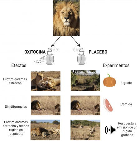 Resumen visual de la investigación