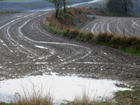 Lluvias en Torelló.