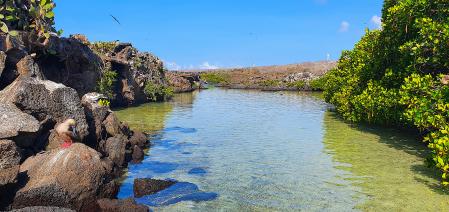 Isla Genovesa en las Galápagos