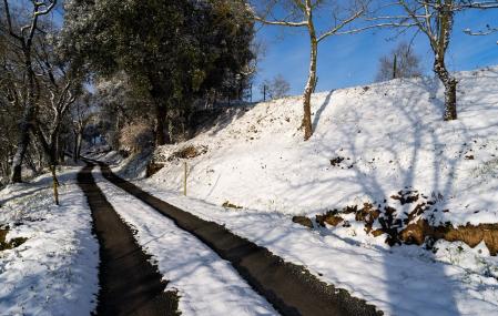 Ha pasado el tractor.
